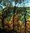 'Jones Mountain From Blakey Ridge' Fine Art Painting